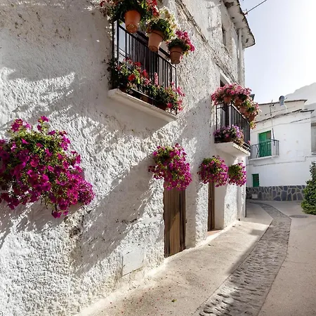 El Fuerte De Atabuey Trevelez
